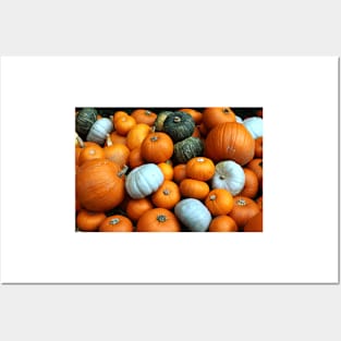 Pumpkins Posters and Art